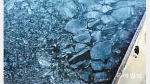 서울 -17도, 광주 -13도, 대구 -14도… 북극한파 덮친다