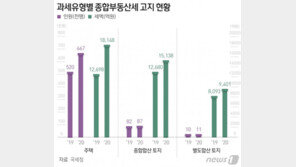 6억원 넘는 임대주택 19채 보유해도 종부세는 ‘0원’