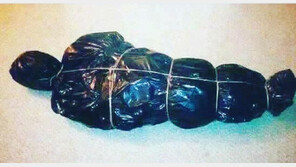 “시체인 줄”…경찰 출동하게 만든 검정 봉지는 무엇?