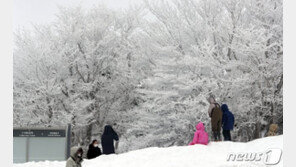 [날씨]눈구름 몰고온 북극한파, 서울 최대 5㎝ 내린다