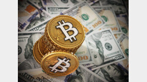 ‘암호화폐 대장’ 비트코인 3만5000 달러 넘어…사상 최고가