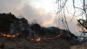 영덕 산불 12시간째 진화중…강풍과 추위로 진압 어려움