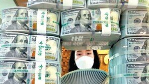 12월 외환보유액 역대 최대 4431억 달러