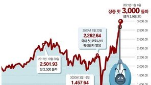 똑똑해진 개미들이 밀어올리고, 코로나 이겨낸 기업들이 떠받쳤다