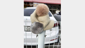 겨울바람[고양이 눈]