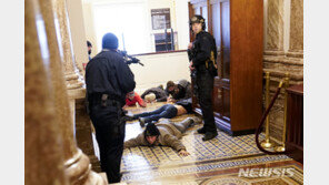 “총 갖고 가자”…극우 시위대, 신생 SNS서 의회 난입 모의