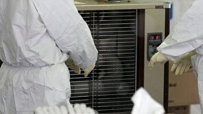 쌓인 눈 치우랴, 검사 준비하랴…실외 선별검사소 삼중고