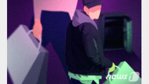 카지노 도난 145억 어디에 있나…“항공기 반입, 송금도 어려워”