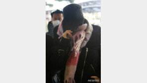 황하나 ‘바티칸 킹덤’ 만났나 묻자 “아뇨”…1시간 만에 심사 종료