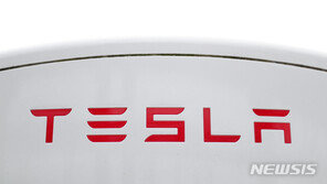 테슬라, 中이어 국내시장서도 싼 차 내놓을까…車업계 ‘촉각’