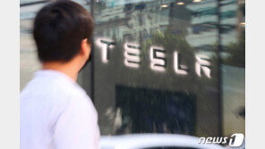 테슬라, 주가 급등에 장중 한때 시가총액 페북 앞질러