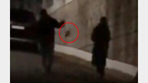 강아지 공중에서 빙빙 돌린 20대 여성 2명 입건