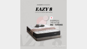 한샘, ‘가구 구독 서비스’ 출범