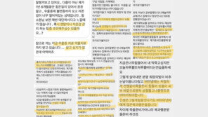 함소원 “다들 내게 ‘이혼당한다’ 했지만… 인생은 그런것” 뭉클 조언