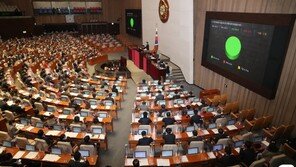 ‘정인이법’ 본회의 통과…아동학대 신고땐 즉시수사 의무화
