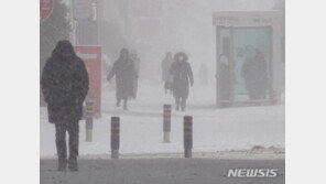 꽁꽁 얼어붙은 제주, 밤시간대 주요 산간도로 통제