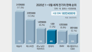 현대차-애플 손잡나… ‘애플카’ 협력 논의