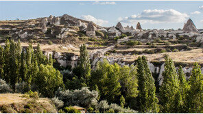 [책의 향기]약탈로 몸집 키운 ‘甲의 문명’만 문명인가