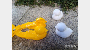 출생의 비밀[고양이 눈]