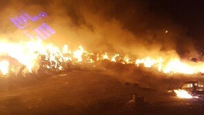 포항 호동쓰레기매립장 화재 인근 지역 산불로 번져