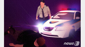 오토바이 쫓던 경찰관, 횡단보도서 아이 치어…처벌은?