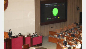 ‘보여주기식 입법’ 폐혜…정인이법도 마찬가지였다