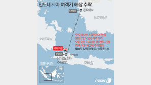 인니 스리위자야 항공 CEO “실종 여객기 상태 양호했다”