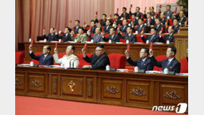 北관영 조선중앙통신, 당대회 뉴스 오역 ‘망신’