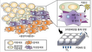 암 주위 지방산, 암세포 전이 심화시킨다