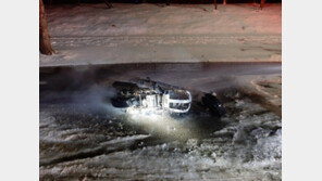 [단독]만취 차량에 꺾인 ‘코리안 드림’