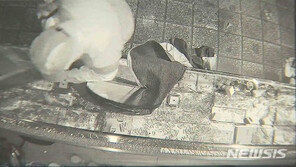 금은방 턴 현직 경찰, 도박사이트서 돈 거래했다