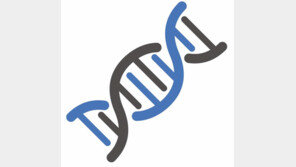 유전자가위 기술 누가 먼저냐… ‘세기의 특허전’에 한국 가세