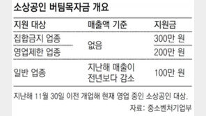 소상공인 재난지원금 11일부터 신청… 유흥업소-학원 300만원