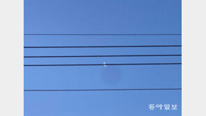 나의 ‘미’, 달의 ‘솔’[고양이 눈]