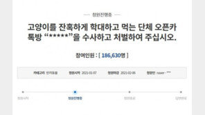 “고양이 죽이고 낄낄…악마들” 처벌 촉구 청원 18만 여명 동의