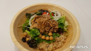 “고기 맛 살린 콩고기, 뱃살 빼고 심혈관 질환 예방”