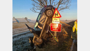 처참히 찌그러져 ‘세로’로 땅에 박힌 아우디…무슨 일?