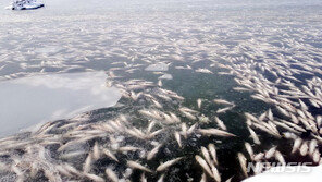 북극발 폭설·한파 위기경보 하향…중대본 2단계 비상근무 해제
