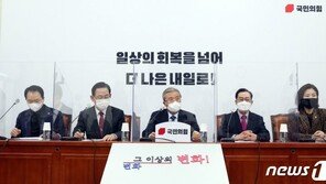 국민의힘 “文대통령, 고장난 시계처럼 남북 공동번영 반복”