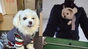 차량 짐칸에 강아지 방치?…학대 의심 택배기사의 ‘속사정’