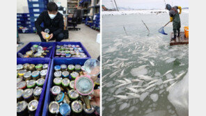 전국 덮친 ‘북극 한파’… 양식장-농작물도 얼어붙었다