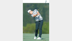 왕중왕전서 이글에 버디 24개 임성재… 주눅들지 않는 당당함