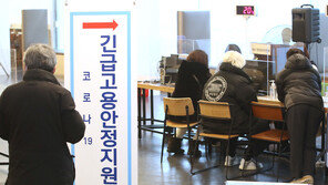 서울시 “3차 재난지원금 사칭 스미싱 주의…메신저 신청 없어”