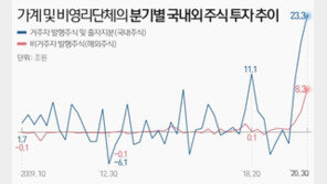개미들이 사들인 주식 추경도 맞먹어…올해 ‘빚투 광풍’ 위태위태