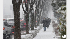 서울 동남·서남권 대설주의보…예상적설량 ‘5㎝ 이상’