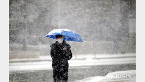 서울시, 대설주의보 발효에 2단계 격상…대중교통 이용 권고