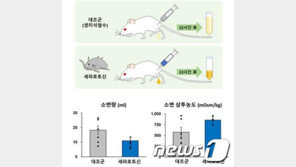 낙지 유전체서 배뇨질환 치료 물질 발견…기술이전해 치료제 개발 추진