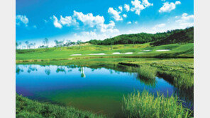 제주 명문 골프장 12곳 무기명 4인 혜택