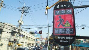 “보행자 움직임 알려드려요”