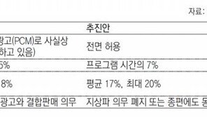 지상파 ‘편법 쪼개기 광고’ 눈감은 정부, 중간광고 전면허용 추진